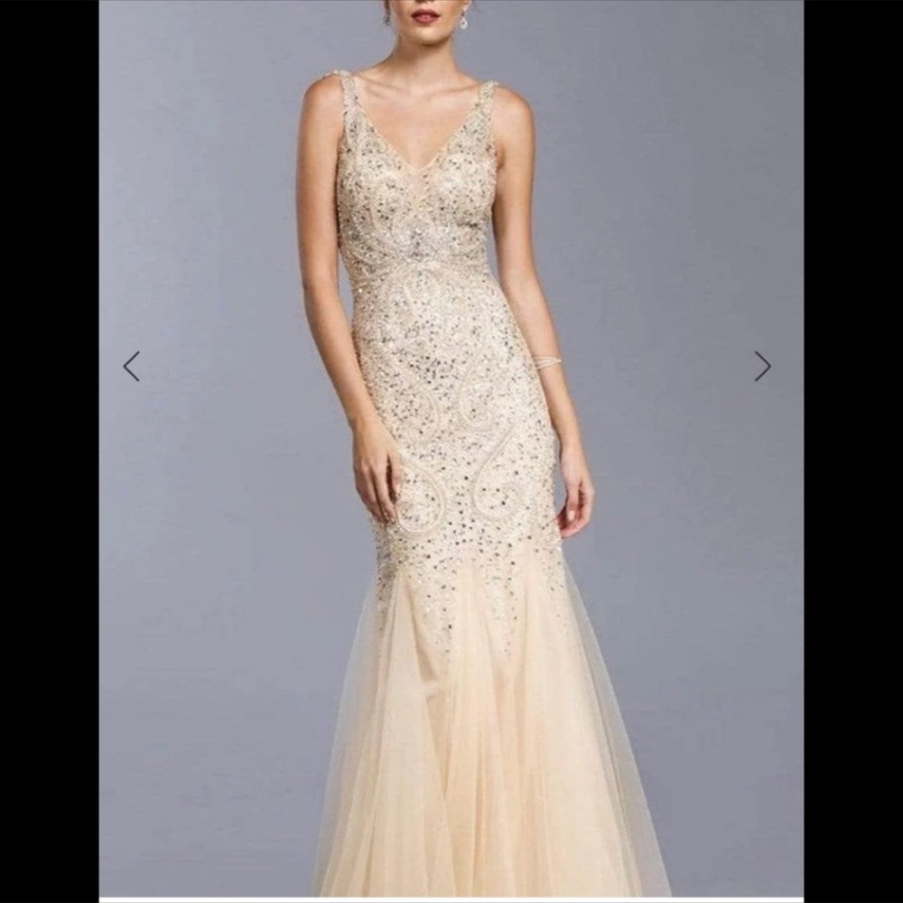 Champagne dress size Large long